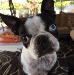 Meet your Posher, Sharon rivet